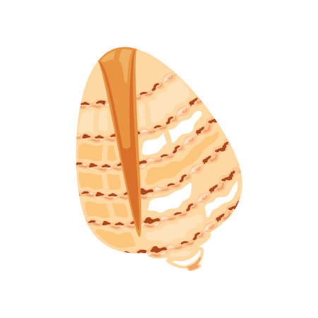 sea shell flat iconのイラスト素材