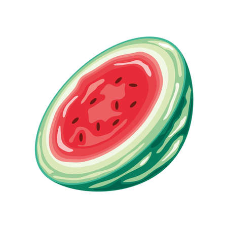 half watemelon fruitのイラスト素材