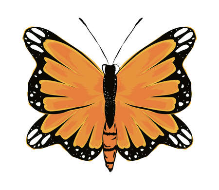 monarch butterfly iconのイラスト素材