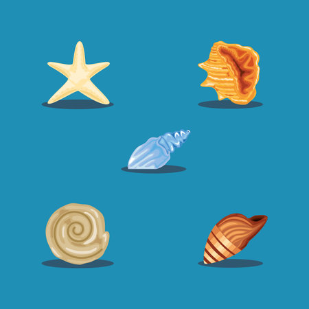 sea shells set