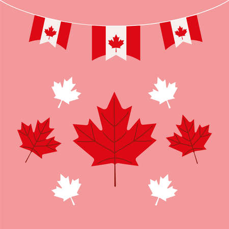 canada day partyのイラスト素材