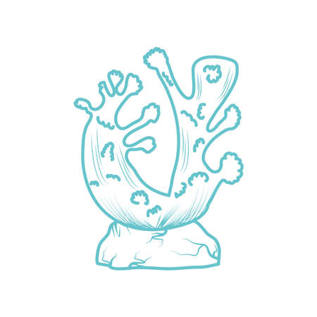 coral sea natureのイラスト素材