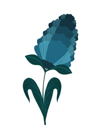 exotic flower natureのイラスト素材