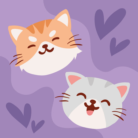 little faces cats