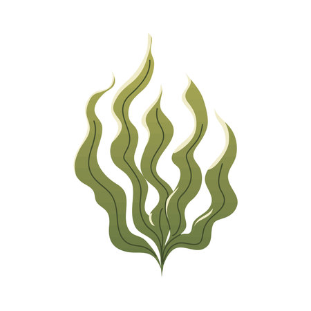 seaweed sea plantのイラスト素材