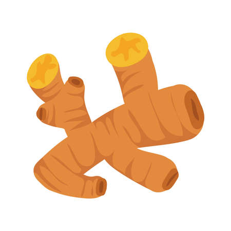 ginger natural iconのイラスト素材