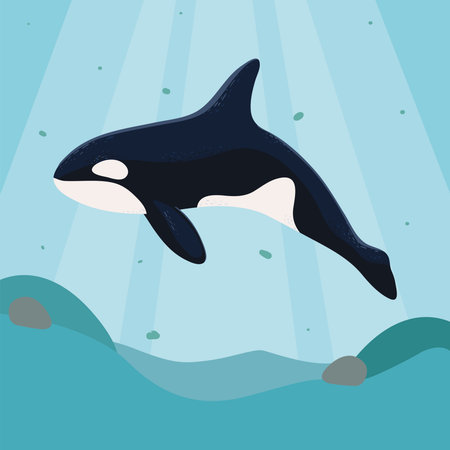orca whale sea life