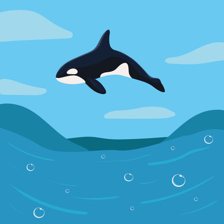 orca whale on oceanのイラスト素材