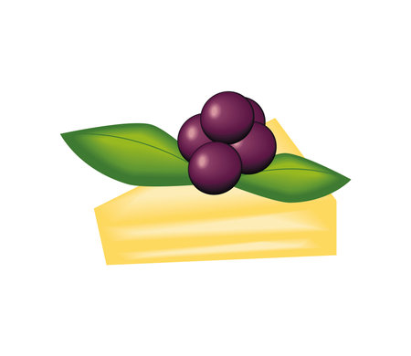 appetizer nutrition foodのイラスト素材