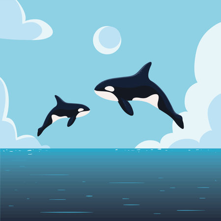 jumping orca whalesのイラスト素材