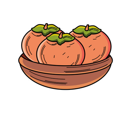 korean persimmon fruitのイラスト素材