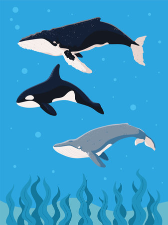 underwater whales sea lifeのイラスト素材