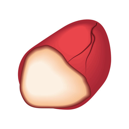 nut icon flatのイラスト素材