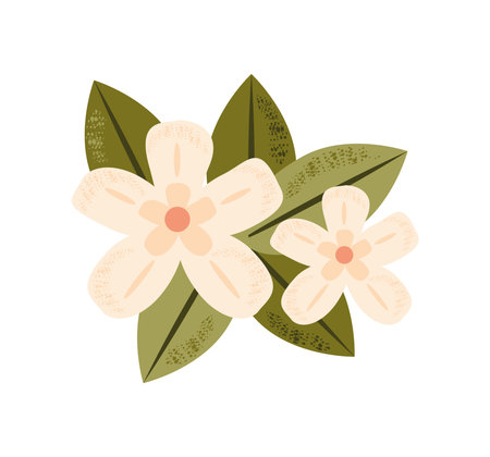 flowers and leavesのイラスト素材