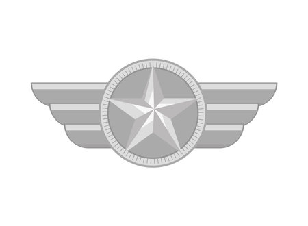 military insignia starのイラスト素材