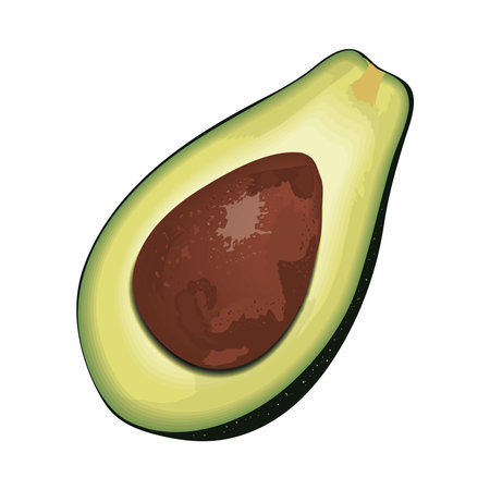 avocado vegetable icon