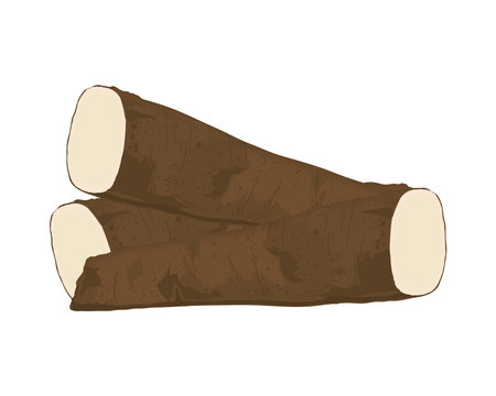cassava root iconのイラスト素材