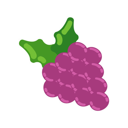 grapes healthy foodのイラスト素材
