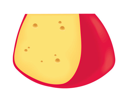 slice dutch cheese realisticのイラスト素材