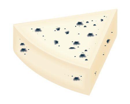 piece blue cheese realisticのイラスト素材