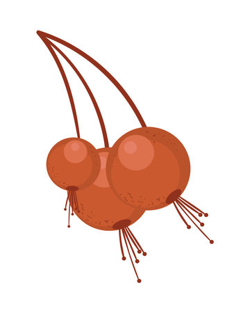 harvest cherries iconのイラスト素材