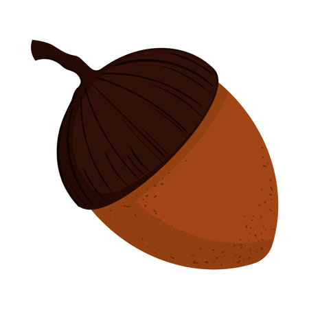 acorn nut iconのイラスト素材