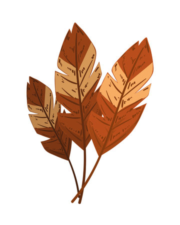 autumn leaves plantのイラスト素材