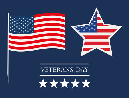 veterans day, american flagsのイラスト素材