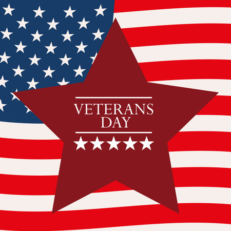 flag USA veterans dayのイラスト素材