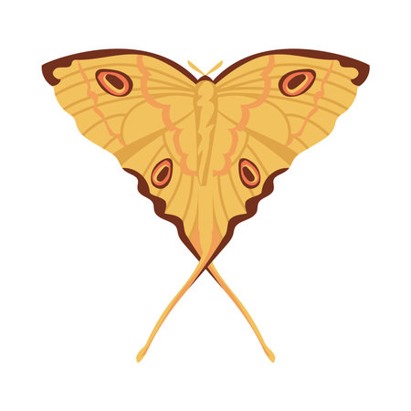 Flat Butterfly animalのイラスト素材