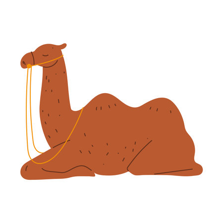 resting camel iconのイラスト素材