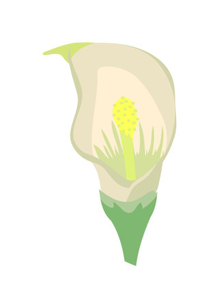 exotic flower iconのイラスト素材