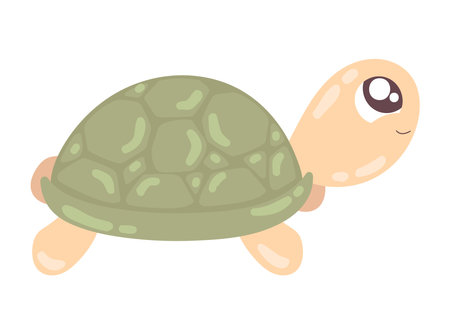 turtle cute animalのイラスト素材