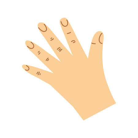 open hand gestureのイラスト素材