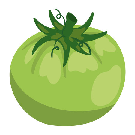 tomato healthy foodのイラスト素材