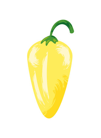 yellow chili pepperのイラスト素材