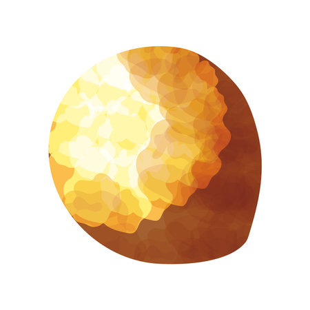 coconut fruit iconのイラスト素材