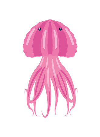 jellyfish aquatic animalのイラスト素材