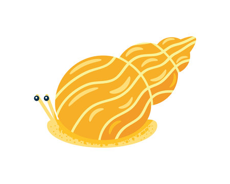 snail aquatic animalのイラスト素材