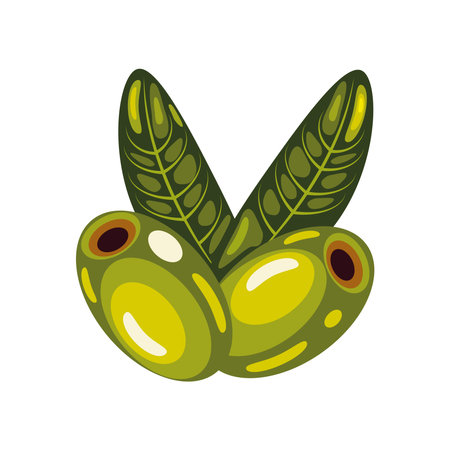 olives and leavesのイラスト素材