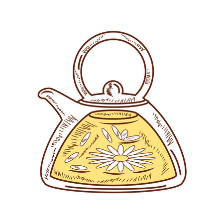 chamomile tea medicinalのイラスト素材