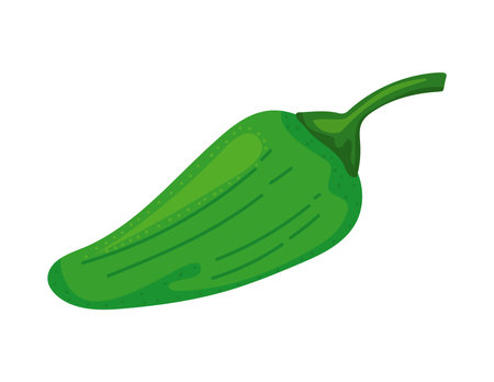 chili vegetable iconのイラスト素材