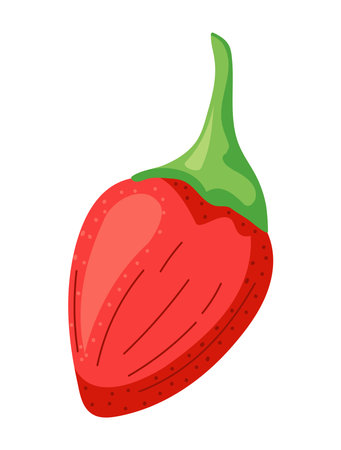 chili on white backgroundのイラスト素材