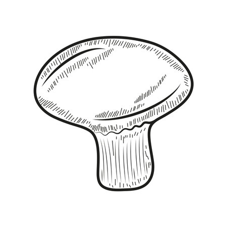 mushroom icon isolatedのイラスト素材