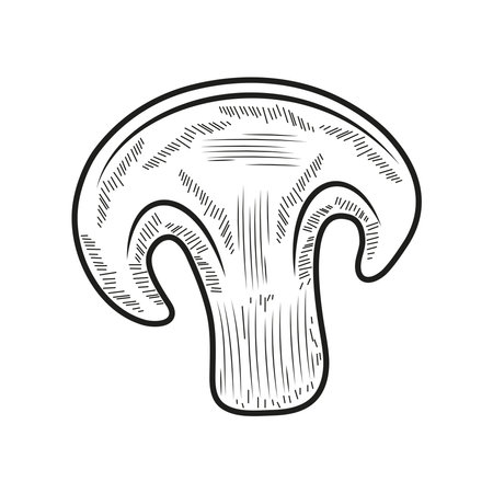 slice mushroom iconのイラスト素材