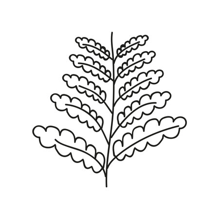 Fresh organic leaves in natural bouquetのイラスト素材