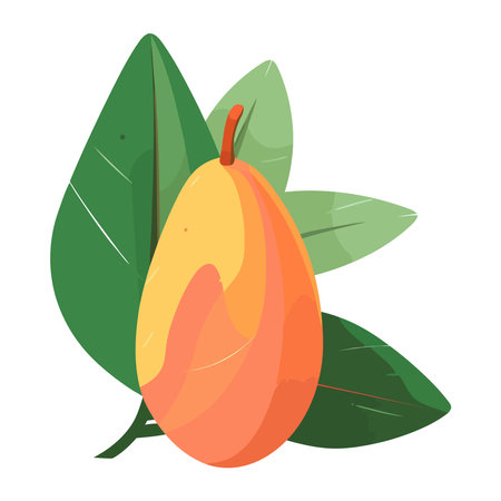 Juicy fruit mango snackのイラスト素材
