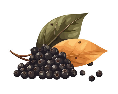 Juicy berry bunch ripe for healthy snackingのイラスト素材