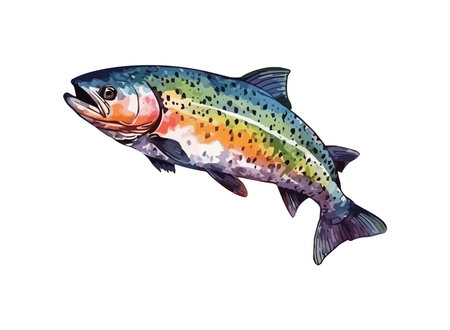 Fresh fish on white backgroundのイラスト素材