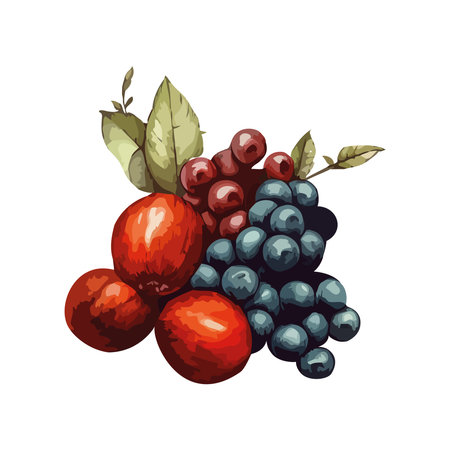 bunch fruits berry fresh and leafのイラスト素材